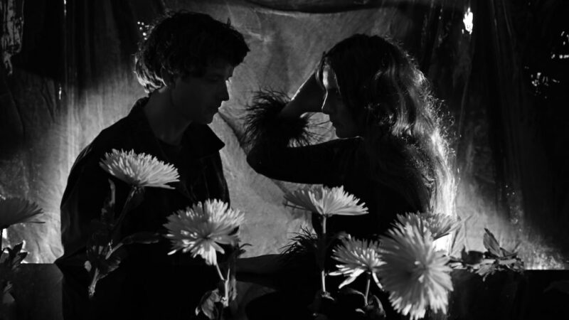 Depression Cherry-Beach House: un viaje etéreo envuelto en cereza