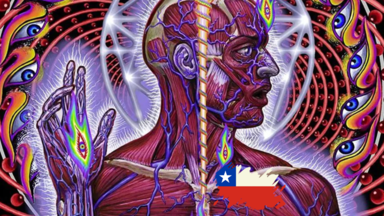 Tool por fin en Chile: Ese dolor era solo una ilusión